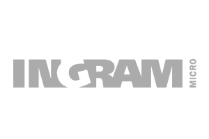 Ingram Micro Logo